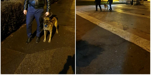 politistii patruleaza cu cainii foto ipj salaj