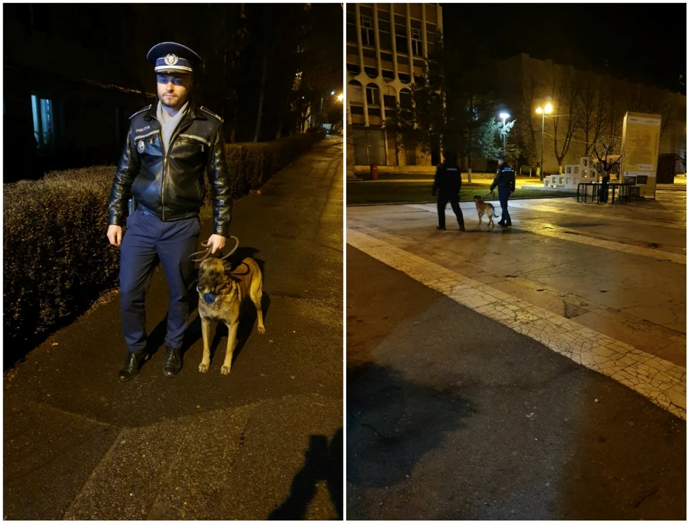 Poliţiştii patrulează împreună cu câinii FOTO IPJ Sălaj