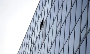 dna timisoara tamas schiffbeck jpeg