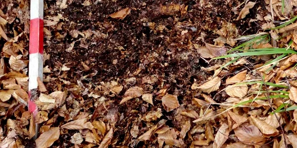 Descoperiri arheologice în Sarmizegetusa Regia. FOTO Muzeul Civilizaţiei Dacice şi Romane