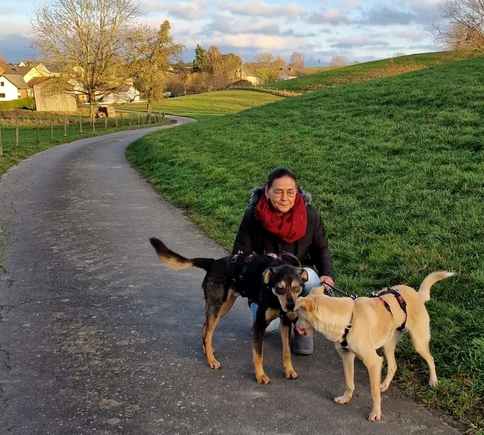 Luna și Tazz au fost adoptați de o familie din Germania FOTO: Ajutați-l pe Lăbuș
