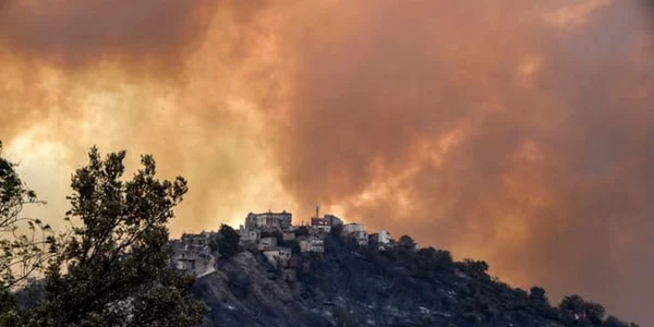 incendii algeria