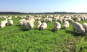 o turma de oi jpg 0 jpeg