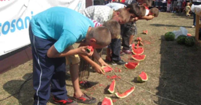 Botosani: „Festivalul Harbujilor”, evenimentul anului la Lunca