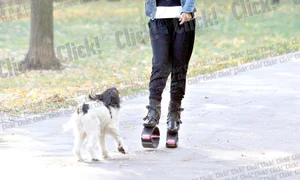 CLIIMA20121102 0061 1 jpeg