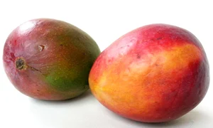 coaja de mango jpeg