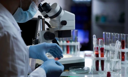 1 anticorpi jpg jpeg