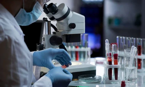 1 anticorpi jpg jpeg