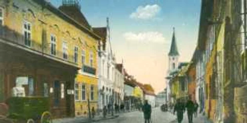 banca albina sibiu