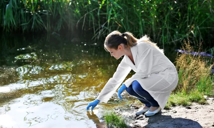Un animal rar a fost redescoperit după 130 de ani / foto: Pinterest
