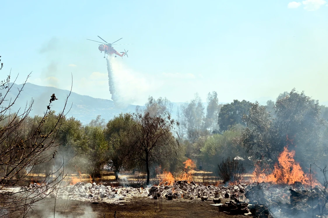 Un incendiu de vegetație a afectat Insula Peloponez. foto: EPA-EFE