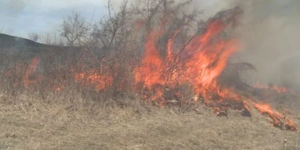 Incendiu de vegetație. Foto Adevărul