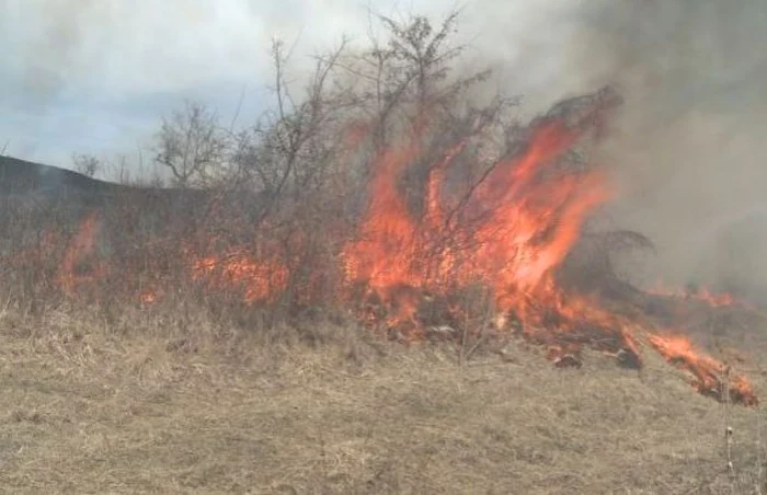 Incendiu de vegetație. Foto Adevărul