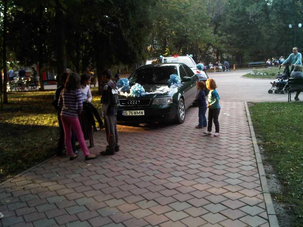 Maşini parcate pe aleile din parc la Iaşi