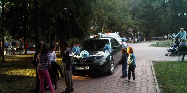 Maşini parcate pe aleile din parc la Iaşi