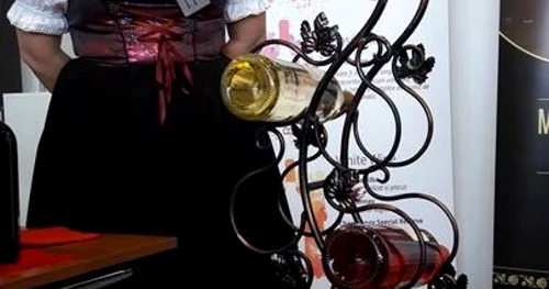 VinVest 2017 FOTO Ştefan Both