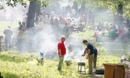 picnic click jpeg