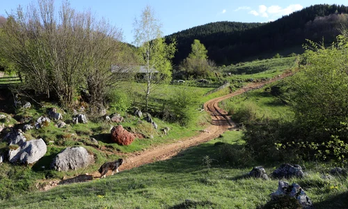 Fundătura Ponorului  Foto Daniel Guță ADEVĂRUL (11) JPG