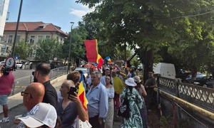 foto Cristina Teodorescu fb