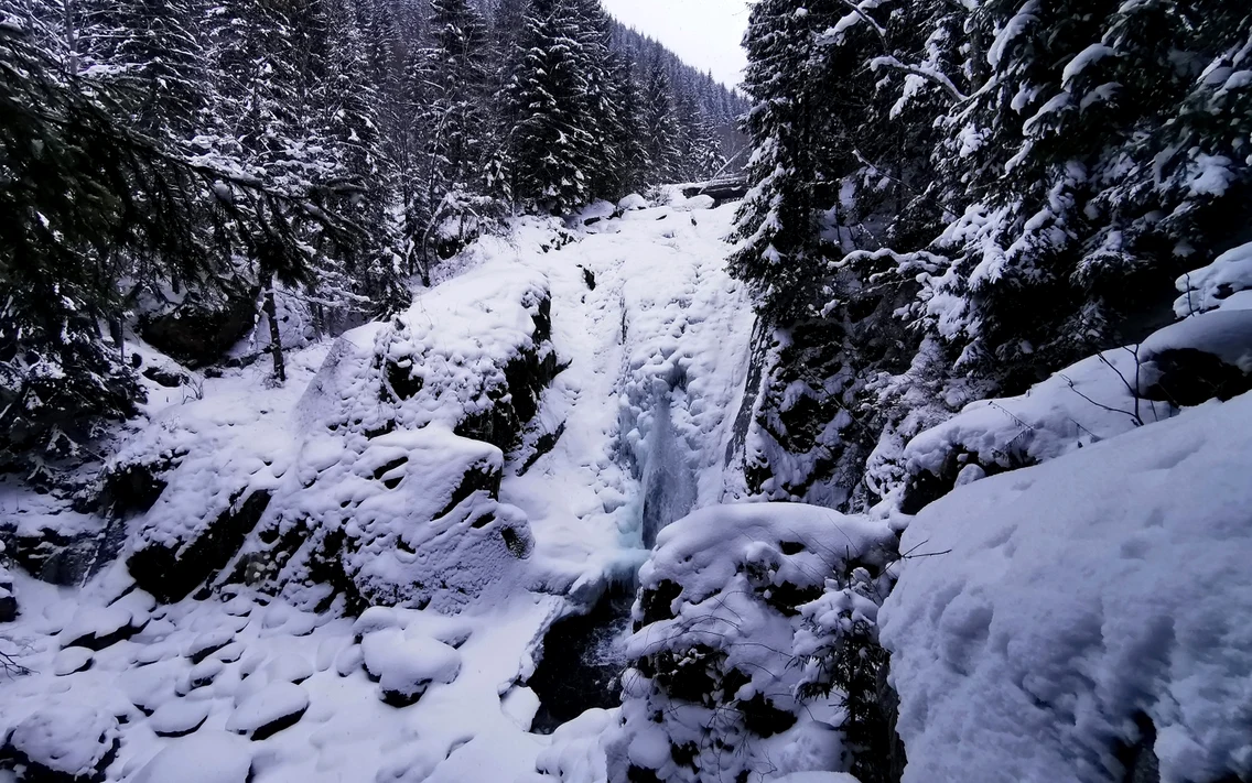 Retezat cascada lolaia (80) JPG