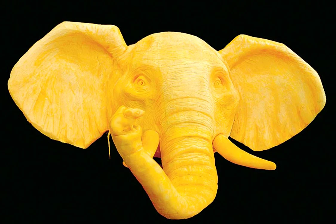 Cap de  elefant