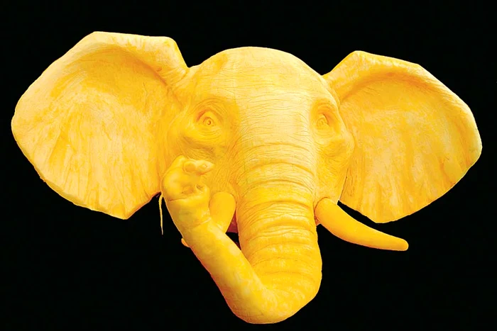 Cap de elefant