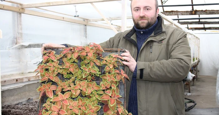 Biologul Cosmin Sicora, alături de plantele care vor izola pereţii FOTO CCB Jibou