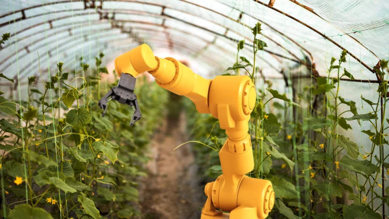 roboti agricultura