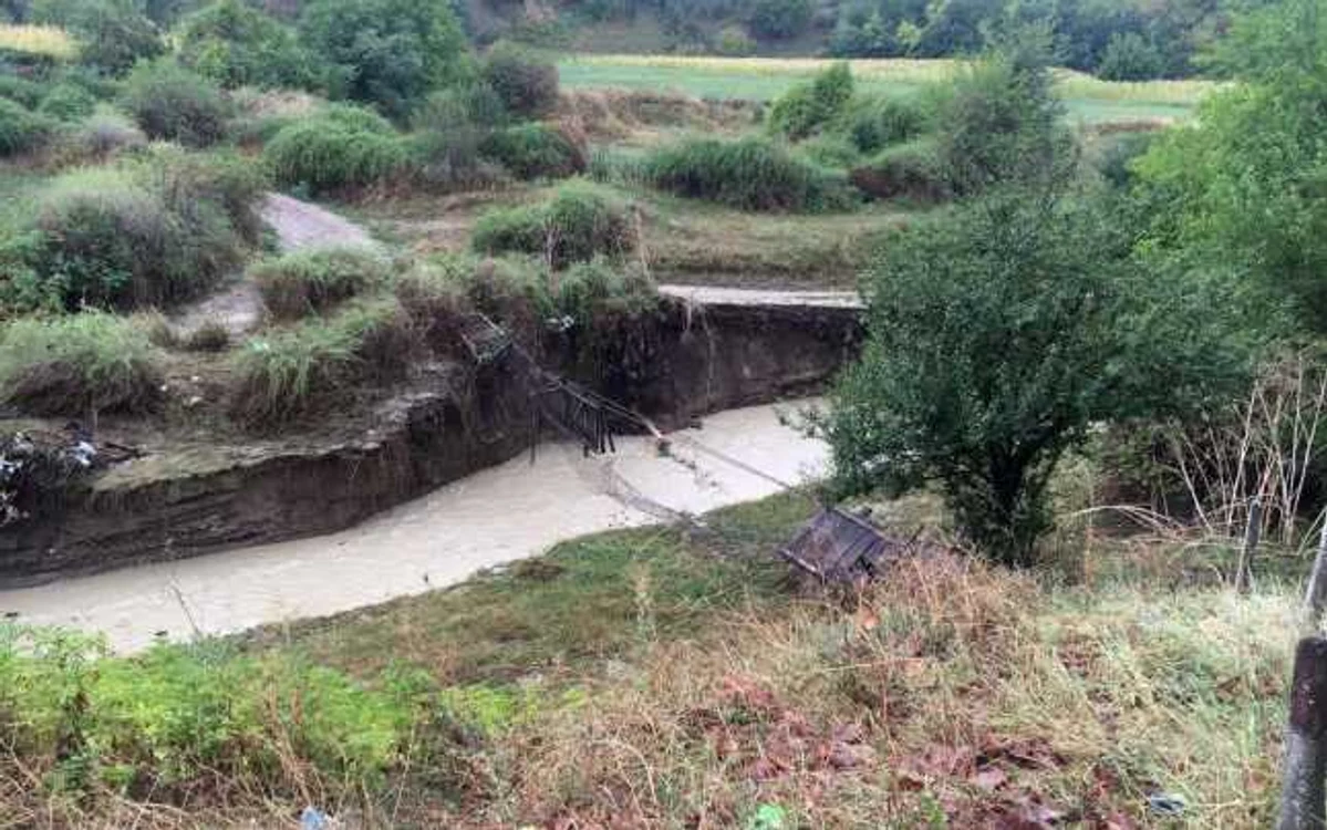 Grindina şi ploile torenţiale sunt principalele fenomene care au afectat agricultura