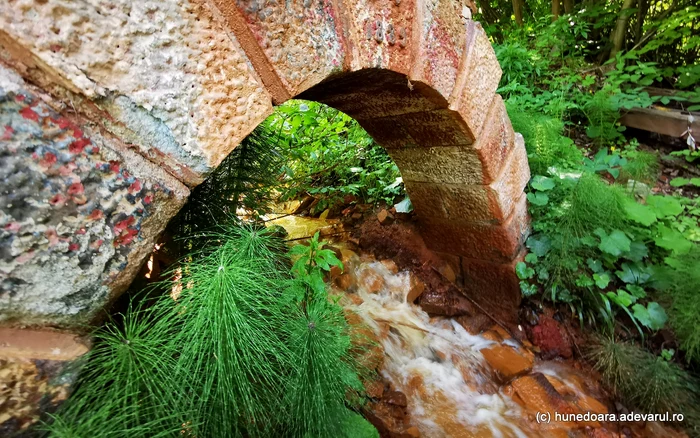 Intrarea în fosta mina Barbura. Foto: Daniel Guță