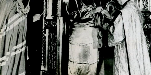 catedrala timisoara foto Lelands sports&americana