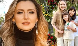 Banner Alina Sorescu