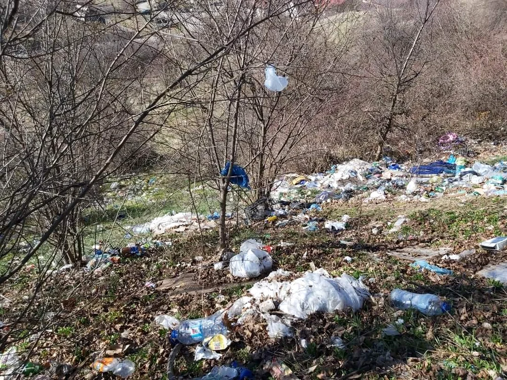 Teren neîngrijit aflat aproape de centrul Piteștiului FOTO Denis Grigorescu