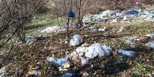 terenuri neingrijite pitesti 01 foto Denis Grigorescu jpg