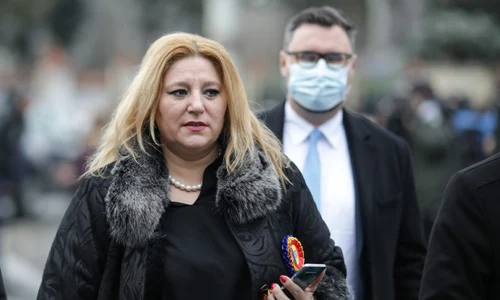 diana sosoaca jpeg