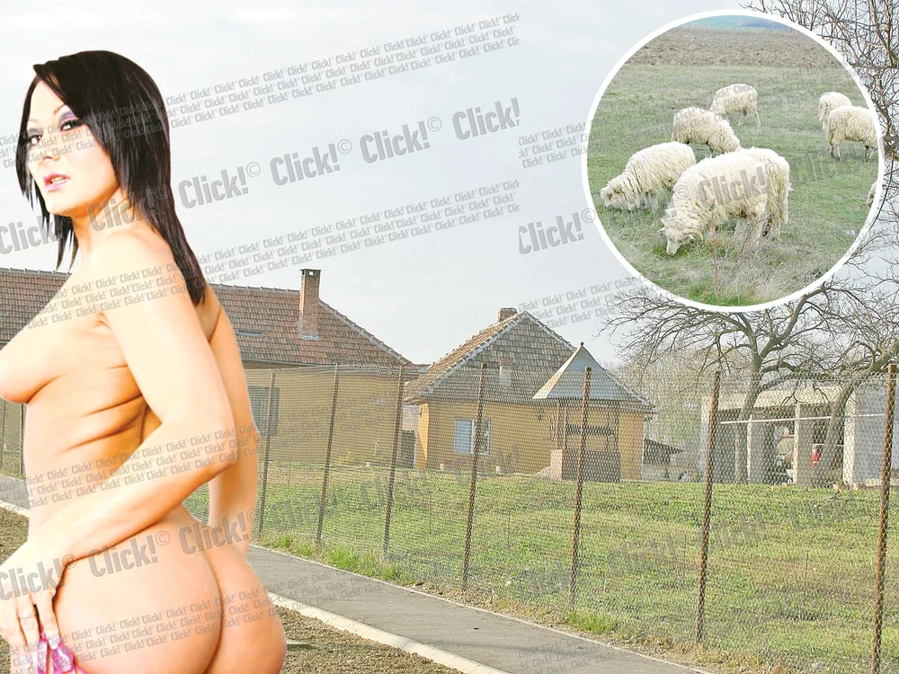 
    Sandra Romain  (34 de ani) a câştigat aproape  cinci milioane  de dolari din  filme porno  