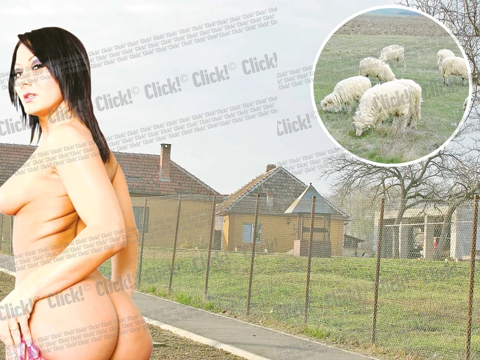 Sandra Romain (34 de ani) a câştigat aproape cinci milioane de dolari din filme porno