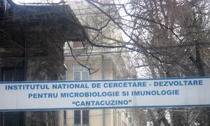 cantacuzino jpeg