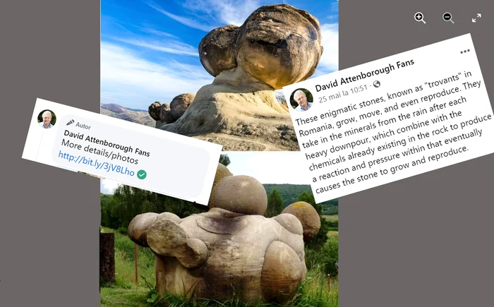 Trovanții au apărut pe pagina de Facebook a fanilor lui David Attenborough. SURSA Facebook / D.A.