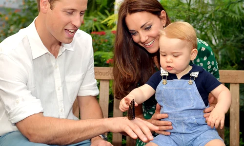 1 gettyimages 452491034 jpg jpeg