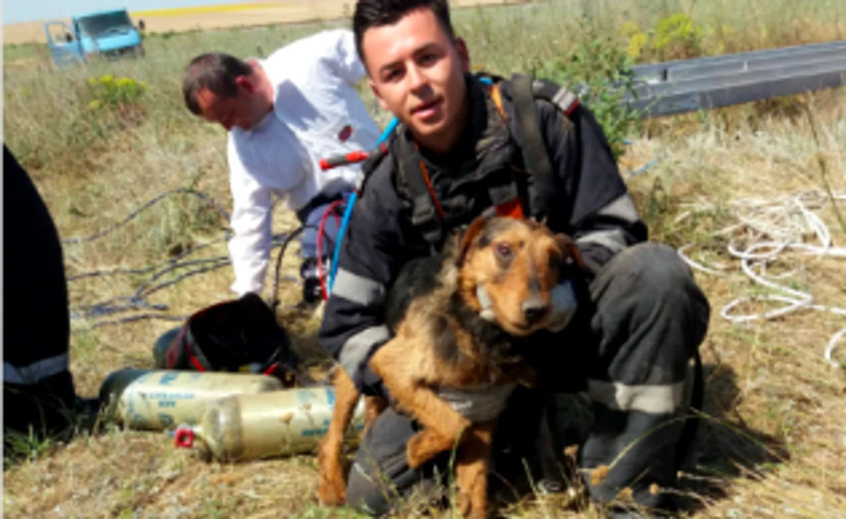 Căţel salvat de pompier la Medgidia Sursa ISU Constanţa