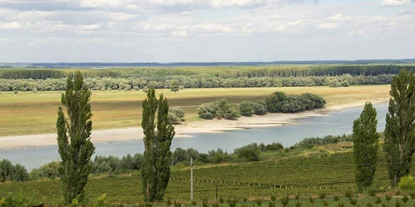 calarasi atractii salbatuce la dunare foto natura2000.ro