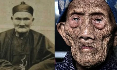 li ching yuen captura video jpg