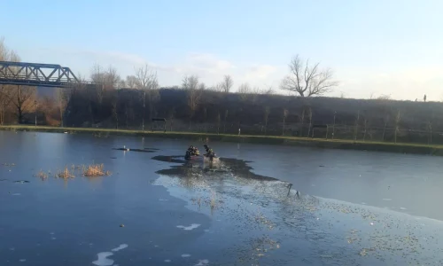 lac webp