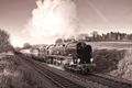 tren jpg