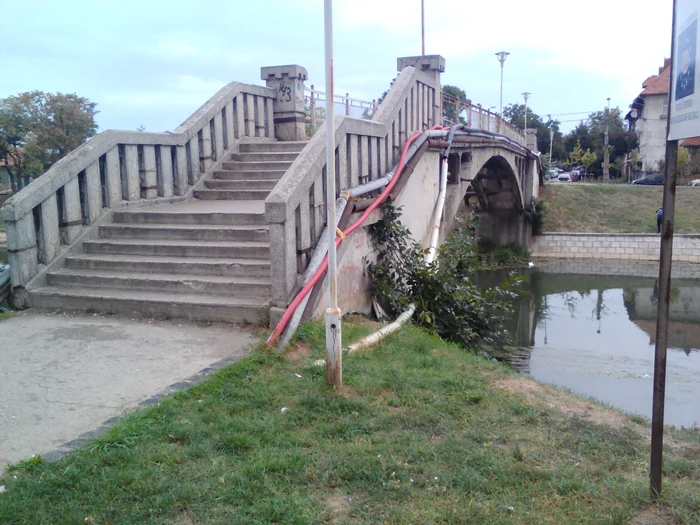 Pasarela Gelu FOTO Primaria Timisoara jpg