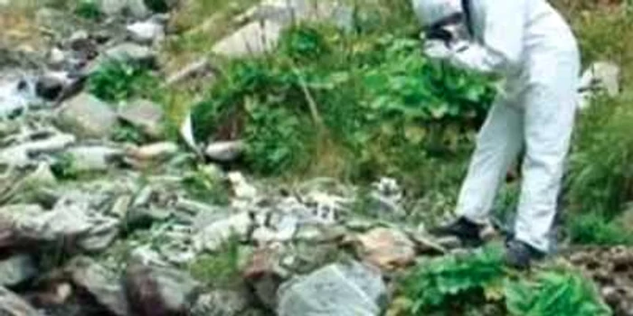 Târgu-Jiu: Poliţiştii gorjeni au încetat să mai caute resturile trupului lui Costi Velcev