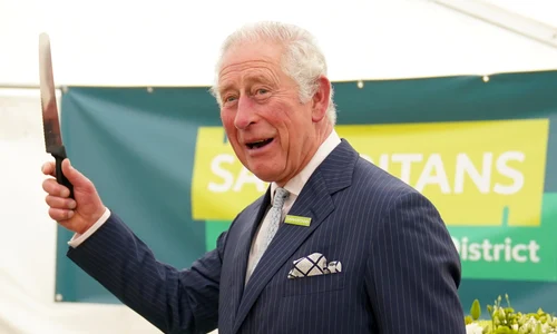 Regele Charles, Profimedia (3) jpg