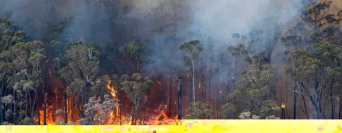 Incendiu în Cobargo New South Wales Australia FOTO EPA-EFE / Sean Davey