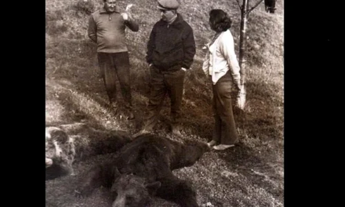 „Să ţi fie ruşine, Maurer!” jpeg